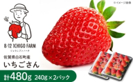 【R8年2月以降発送】いちごさん 480g（2パック） 【8/12ICHIGOFARM】 [IBR002]