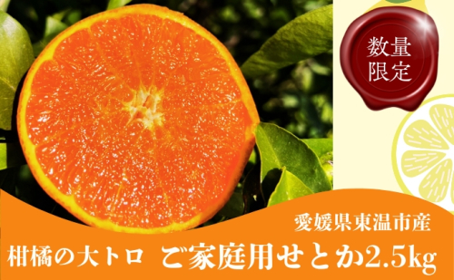 せとか2.5ｋｇ ご家庭用 サイズお任せ 今が旬 農園直送 みかん 人気 数量限定 先行予約 柑橘 蜜柑 ミカン 愛媛みかん かんきつ 国産 愛媛県 産地直送 フルーツ 果物 くだもの 甘い 2.5キロ箱 大粒 果実　瀨戸香 2350876 - 愛媛県東温市