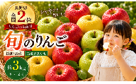 [先行受付]信州産りんご[品種おまかせ]約3kg (8〜12玉) [秋映・シナノスイート・シナノゴールド・名月・サンふじ・グラニースミス・あいかの香り] | ふるさと納税 果物 秋映 シナノスイート シナノゴールド サンふじ リンゴ りんご 林檎 信州産 長野県 松本市