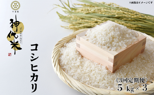 《3回定期便》神代米（コシヒカリ）　精白米　5kg ／ 米 こめ コメ ごはん ご飯 コシヒカリ こしひかり 令和7年産 新米 精米 5kg 定期便 送料無料 2351397 - 千葉県東庄町