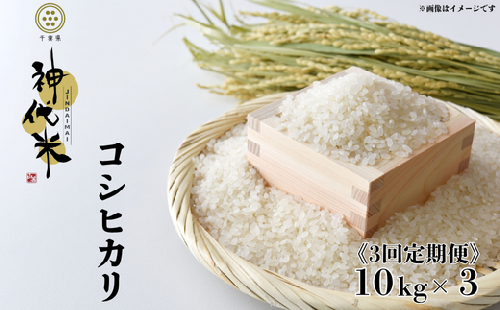 《3回定期便》神代米（コシヒカリ）　精白米　10kg ／ 米 こめ コメ ごはん ご飯 コシヒカリ こしひかり  令和7年産 新米 精米 10kg 定期便 送料無料 2351399 - 千葉県東庄町