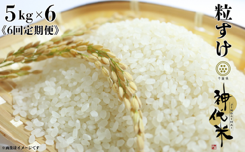《6回定期便》神代米（粒すけ）　精白米　5kg ／ 米 こめ コメ ごはん ご飯 神代米 粒すけ 令和7年産 新米 精米 5kg 定期便 送料無料 2351402 - 千葉県東庄町