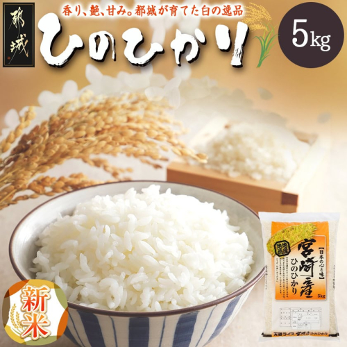 お米 都城産ひのひかり5kg(5kg×1袋)〔A7-004-5kg-v1〕 2351452 - 宮崎県都城市
