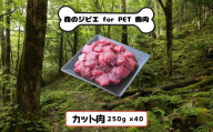 B 森のジビエ for PET 鹿肉 カット肉 10kg A