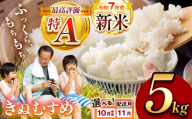 令和7年度産 きぬむすめ 白米 5kg [ 2025年12月中旬より順次発送予定 ] | 精米 白米 米 お米 コメ 単一米 きぬむすめ 山口 美祢 秋吉台 5kg