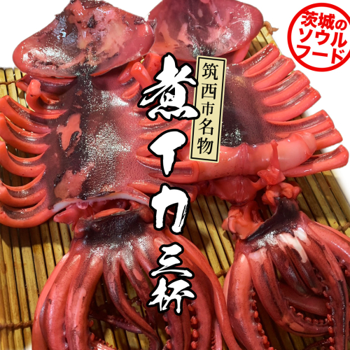筑西市名物 煮イカ（三杯） いか 筑西 茨城 ソウルフード ご当地グルメ 名物 海鮮 魚介 冷凍 ［BW090ci］ 2351782 - 茨城県筑西市