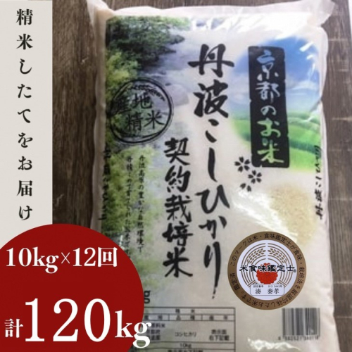 【9月より新米】【毎月1回お届け】【定期便】米 京都丹波米 こしひかり10kg×12回 計120kg 米 12ヶ月 白米 12回定期便 ※精米したてをお届け コシヒカリ ※北海道・沖縄・離島への配送不可 2351790 - 京都府亀岡市