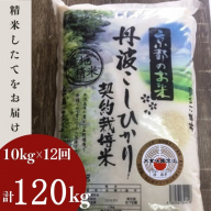 【9月より新米】【毎月1回お届け】【定期便】米 京都丹波米 こしひかり10kg×12回 計120kg 米 12ヶ月 白米 12回定期便 ※精米したてをお届け コシヒカリ ※北海道・沖縄・離島への配送不可