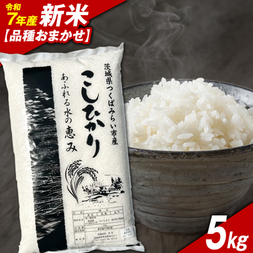 ＼ 令和7年産新米 ／【11月下期出荷】品種おまかせ 5kg 茨城県つくばみらい市産 精米 こしひかり コシヒカリ あきたこまち ひとめぼれ ふくまる ゆめひたち ミルキークイーン にじのきらめき 米 コメ こめ 単一米 限定 茨城県産 国産 美味しい お米 おこめ おコメ 2351791 - 茨城県つくばみらい市