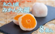 (8個入)みかん大福[先行予約] だいふく 和菓子 フルーツ大福 スイーツ 和スイーツ ミカン 柑橘 杵つき餅