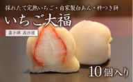 (10個入)いちご大福[先行予約] 苺 イチゴ フルーツ大福 だいふく スイーツ 和スイーツ 和菓子 杵つき餅