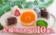 大福アラカルト(10個入) 大福 詰合せ 食べ比べ 季節 フルーツ大福 和菓子 スイーツ だいふく 杵つき餅
