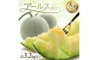 アールスメロン 大玉　3.2kg以上(2玉入) つる付き SA2826