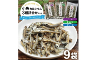 小魚カルシウム 3種詰め合わせ(プレーン、ごま、青のり)　計9袋(40g×各3袋) SA2033