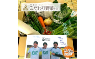 季節の野菜セット 7～8品 やさい 葉物 きのこ 根菜 季節 冷蔵 サラダ 煮物 旬 厳選 農家直送 自然栽培 栽培 安心 農園貞太郎 山形 酒田 SA0587