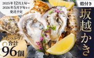 牡蠣 坂越かき 殻付き牡蠣 96個 カキ 牡蠣 かき 海の幸 魚介 貝 【2025年12月上旬-2026年5月下旬まで発送予定】
