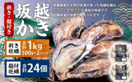 牡蠣 坂越かき 剥き牡蠣 約500g×2パック 殻付き牡蠣 24個 カキ 牡蠣 かき 海の幸 魚介 貝 【2025年11月下旬～2026年4月下旬まで発送予定】