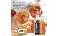 飲むお酢 300ml 2種 各1本 山ぶどう酢 梅酢 酢 飲料 お酢ドリンク 飲む酢 ビネガー フルーツビネガー 飲みやすい 山ぶどう 葡萄 梅 山ぶどう酢 梅酢 保存料不使用 着色料不使用 マルノー山形 山形 酒田 SA0835