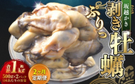 【2回定期便】 牡蠣 坂越かき 剥き牡蠣 約500g×2パック 合計：約2kg カキ 牡蠣 かき 海の幸 魚介 貝【2026年2月上旬～3月下旬発送予定】
