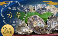 坂越産カキ 生食用 殻付 約2kg【2026年1月上旬-5月上旬発送予定】／ 牡蠣 かき カキ オイスター 生牡蠣 殻つき 魚介 貝 海産物 生食 ギフト 兵庫県 赤穂市