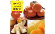 【3回定期便】 酒田の季節のフルーツ頒布会Cコース 2026 7月中旬～8月上旬 プレミアムメロン 8月下旬～10月上旬 刈屋梨(和梨) 10月下旬～11月中旬 庄内柿 ※着日指定不可 果物 くだもの JA 農協 産地直送 赤肉 青肉 なし かき 種無し 夏 秋 JA庄内みどり SE0480