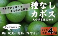 [かぼす] 種なしカボス4kg(サイズ混合) かぼす カボス 香酸柑橘 柑橘 調味料 たねなしかぼす 種無しかぼす