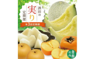 【3回定期便】 酒田の実り定期便 2026 6月下旬～7月下旬 アンデスメロン  8月下旬～10月中旬 刈屋梨 10月中旬～11月中旬 庄内柿 ※着日指定不可 定期便 頒布会 果物 くだもの フルーツ メロン なし ナシ かき カキ 種無し 東北 山形県 酒田市 庄内 夏 秋 旬 元青果 SD0215