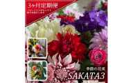 【3回定期便】酒田の花束 「季節の花束 SAKATA3」 SL0216