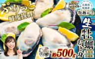 坂越かき むき身 約500g×1パック【2026年1月上旬～2026年3月下旬頃発送予定】／ 牡蠣 かき カキ オイスター サムライオイスター 生牡蠣 魚介 貝 海産物 生食 パック 兵庫県 赤穂市