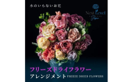 フリーズドライフラワー アレンジ 「ゼロ・モダンフラワー」 SL0217