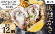 牡蠣 坂越かき 殻付き牡蠣 12個 カキ 牡蠣 かき 海の幸 魚介 貝 【2025年12月上旬-2026年5月下旬まで発送予定】