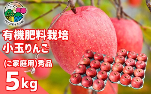 【有機肥料栽培】 小玉りんご「サンふじ」5kg（24玉）ご家庭用 サイズおまかせ 秀品　010-B46