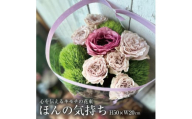 心を伝えるキモチの花束「ほんの気持ち SASAYAKADESUGA」 SL0183
