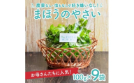 「まほうのやさい すこやかセット」　ベビーリーフ　計900g(100g×9袋) SA2136