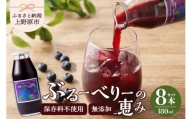 無添加ブルーベリージュース「ブルーベリーの恵み」8本セット(180ml)