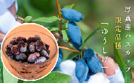 日本一の産地！北海道厚真町が届ける　絶品のハスカップ厚真限定品種「ゆうしげ」冷凍