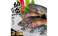 地魚おまかせセット(下処理済)　計1kg以上(3～5種類入) SB0522