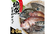 地魚おまかせセット　計2kg以上(4～6種類入) SB0523