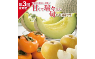 【3回定期便】酒田の美味しい果物！甘くて瑞々しい旬をお届け便2026 (アールスメロン、刈屋梨、庄内柿) SE0486
