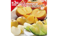 【3回定期便】庄内の口福フルーツマルッとお届け便2026 (アンデスメロン、刈屋梨、庄内柿) SE0491