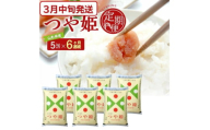 3月中旬発送開始／【6回定期便】 特別栽培米 つや姫 5kg×6ヶ月連続 計30kg 令和7年産 山形県産 精米 白米 庄内米 米 ごはん ご飯 酒田市 庄内 山形県 東北 農協 JAそでうら SM0042