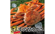 訳あり 春の生・本ズワイガニ 2匹 計650g程度 1～2本足取れ 酒田沖 2026年1月中旬～3月下旬頃お届け 冷蔵便 ※着日指定・離島発送不可（沖縄県を含む） 東北 山形県 庄内地方 飛島 日本海 カニ 蟹 かに 海産物 海鮮 まるごと 刺身 ボイル 焼き 期間限定 ヤマサ鮮魚 SB0765