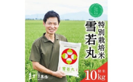 雪若丸 米 令和7年産 10kg 5kg 2袋  精米 白米 特別栽培米 特栽米 山形つや姫マイスター 金賞受賞 農家 鶴岡ごはん日本一 入賞 玄米 減農薬 減化学肥料 産地直送 お米 ごはん ライス おいしい 山形 酒田 SD0198