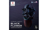 黒い花　ゼロフラワー 「BLACK FLOWER ARRENGEMENT」 SL0271