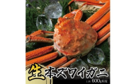 生・本ズワイガニ 1匹 600g程度 酒田沖 10月中旬～12月下旬頃お届け 冷蔵便 ※着日指定・離島発送不可（沖縄県を含む） 東北 山形県 庄内地方 飛島 日本海 カニ 蟹 かに 海産物 シーフード 海鮮 新鮮 鮮魚 まるごと 生食 刺身 ボイル 焼き 期間限定 ヤマサ鮮魚 SE0444