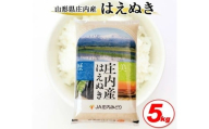 はえぬき 5kg 令和7年産米 山形県庄内産  米 お米 精米 白米 農協 JA 産地直送  SB0784
