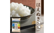 ≪3ヶ月定期便≫ はえぬき 5kg×3ヶ月 計15kg 山形県庄内産 毎月中旬にお届け 東北 山形県 酒田市 庄内地方 米 精米 白米 お米 ごはん ご飯 庄内米 農協 JA 定期便 産地直送 SF0297