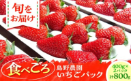 【先行予約】【数量限定20セット】島野農園のいちご（400g×2パック） 紅ほっぺ ほしうらら スターナイト 【島野農園】 [AKHV002]