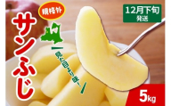 【2025年12月下旬発送】 りんご サンふじ 約 5kg 規格外 程度 青森 五所川原 不揃い サン ふじ りんご規格外