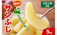 【2026年2月上旬発送】りんご サンふじ 約 5kg 規格外 程度 青森 五所川原 不揃い サン ふじ りんご規格外